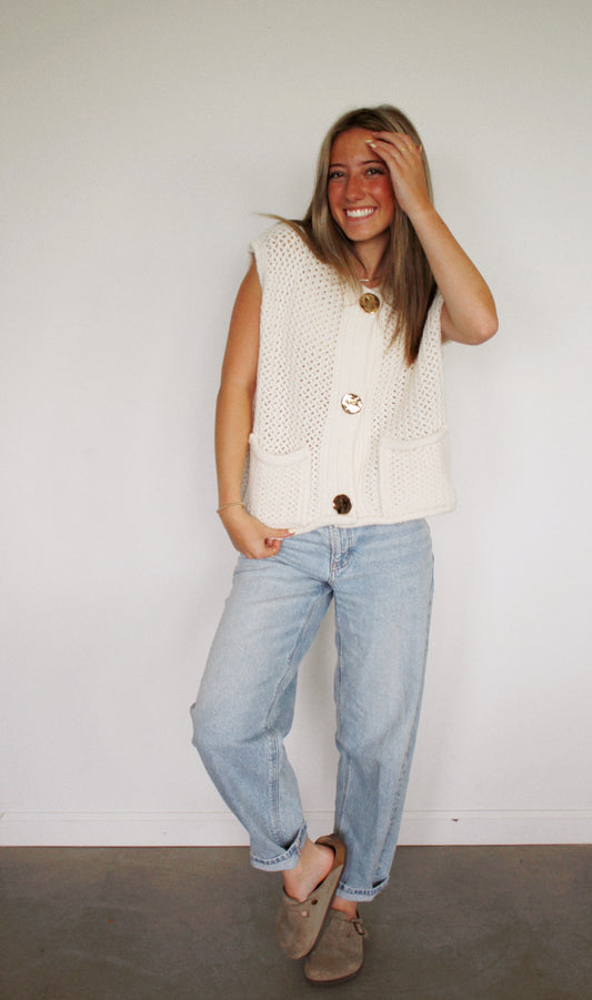 hudsyn button sweater vest
